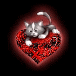 pic for heart kitty